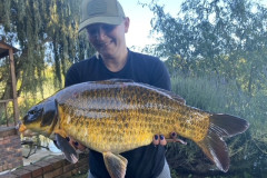 Fish-3