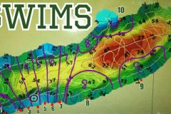 IMG-20170704-WA0043
