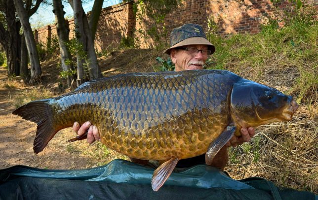 Lake Record: Common Carp Weighing 47.52 lbs